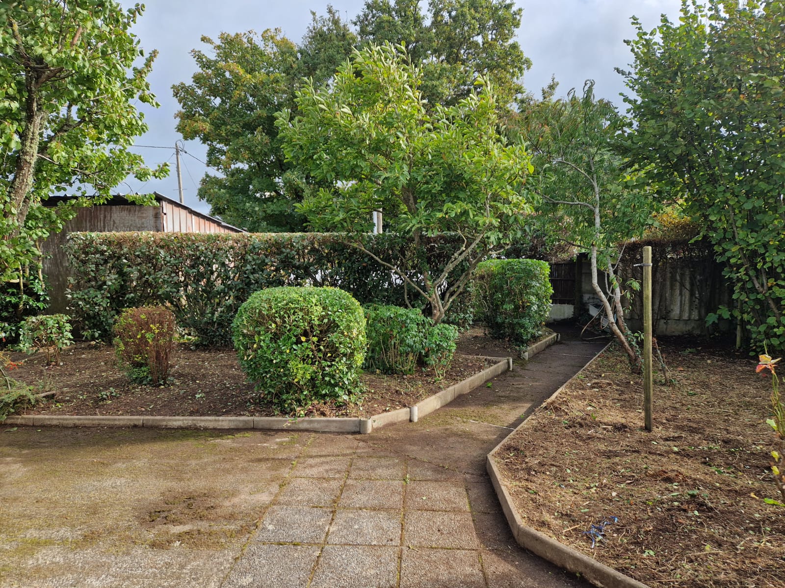 Jardin paysager avec haies taillées et allée dallée réalisé par Breiz Paysage